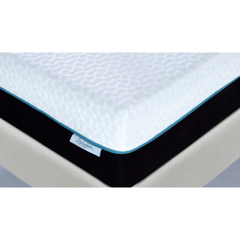 Abbyson Home Abbyson 10" Memory Foam Mattress Queen Wayfair
